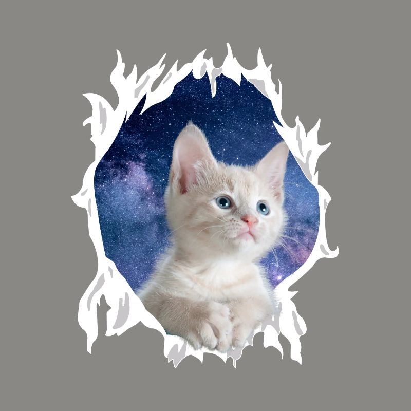Süßes 3D Kätzchen Katze - Geschenk