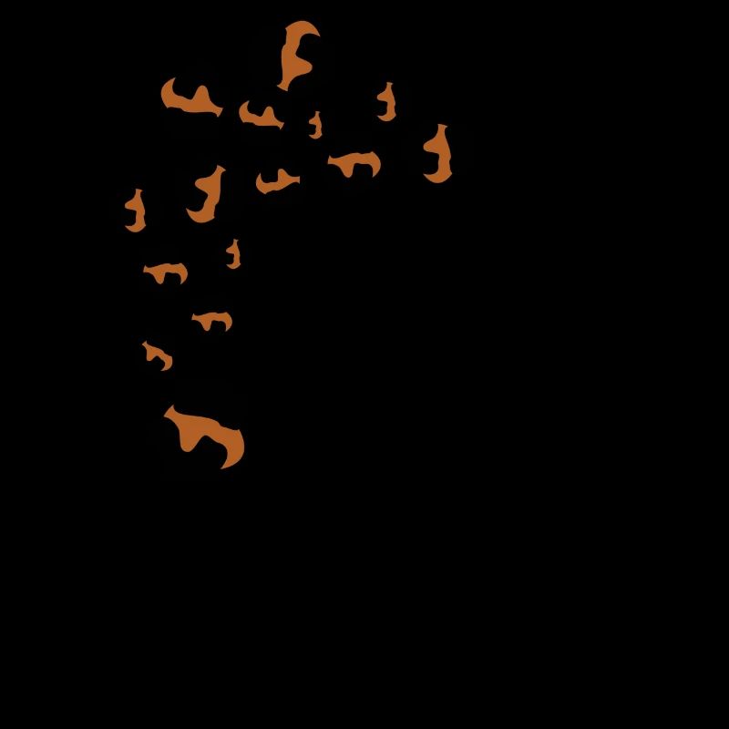 Letter p leopard patterns