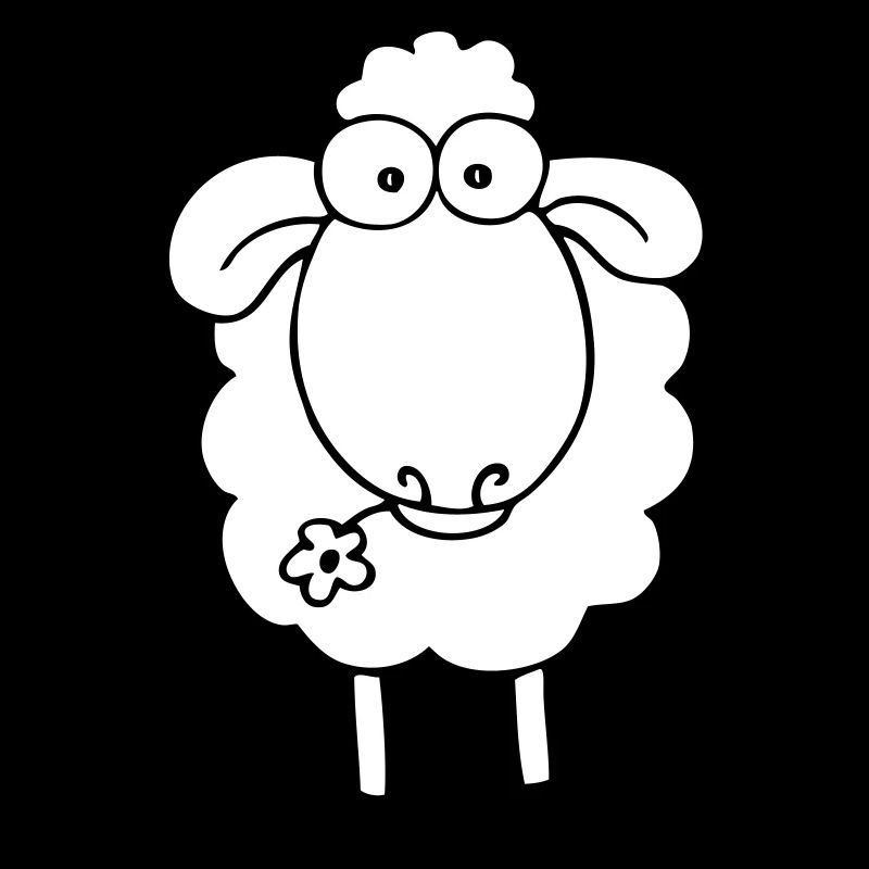 Sheep white