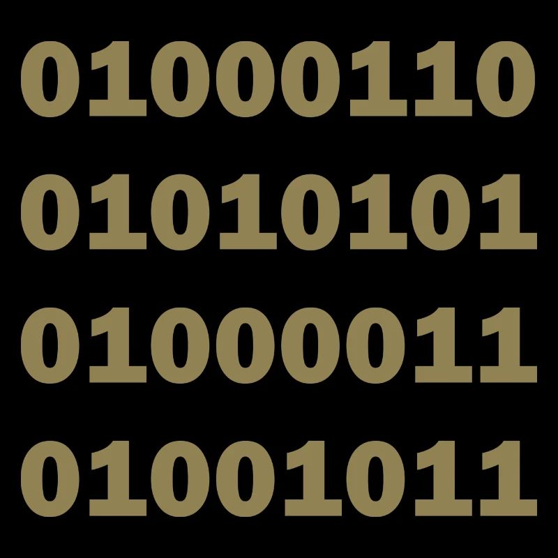 Binary Code Fuck