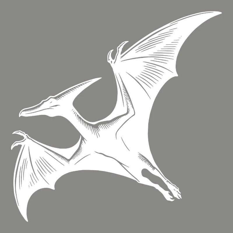 Flying Dino Pteranodon Pterosaur Dinosaur