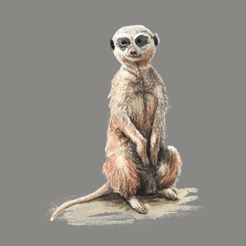 Erdmännchen