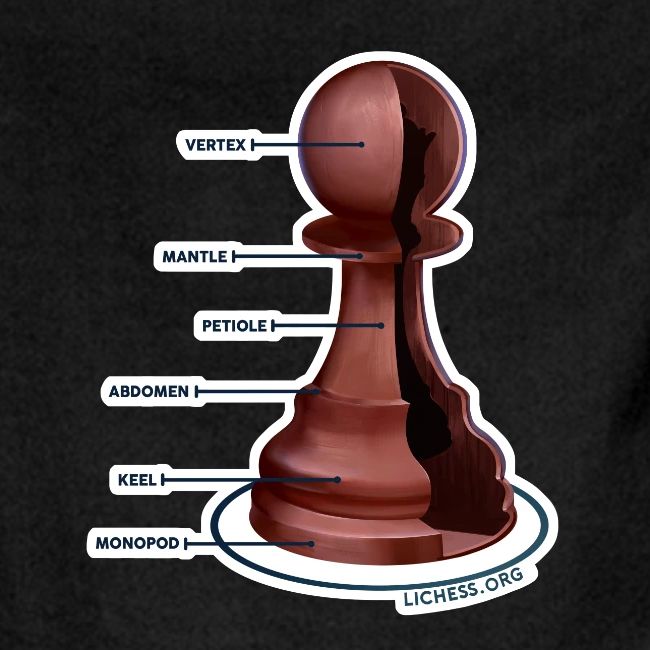 Lichess Pawn