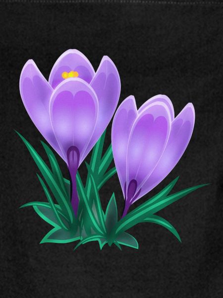 crocus