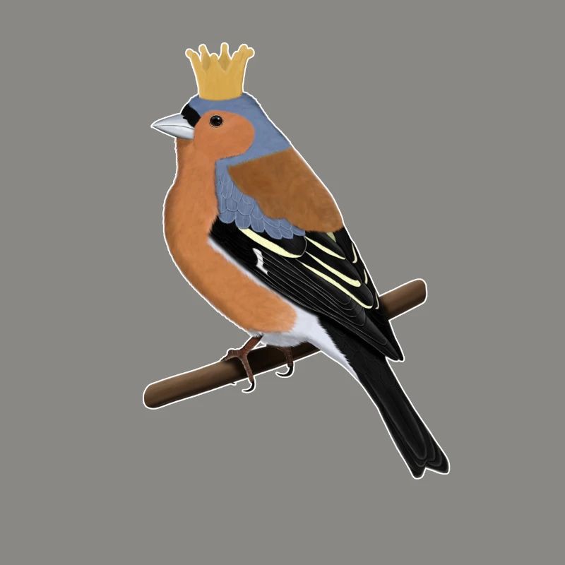 Buchfink Krone Singvogel Süßer Vogel Gartenvogel