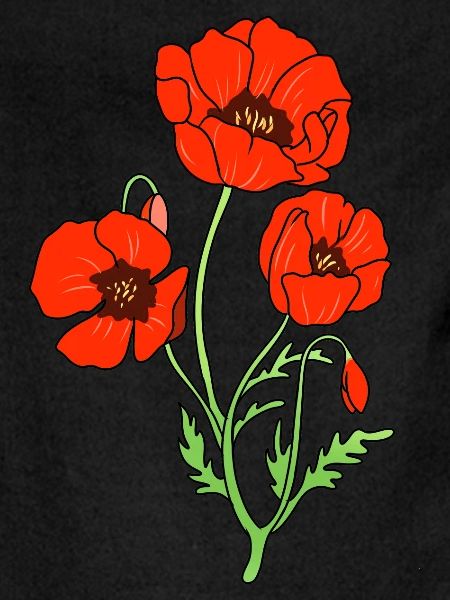 Coquelicot