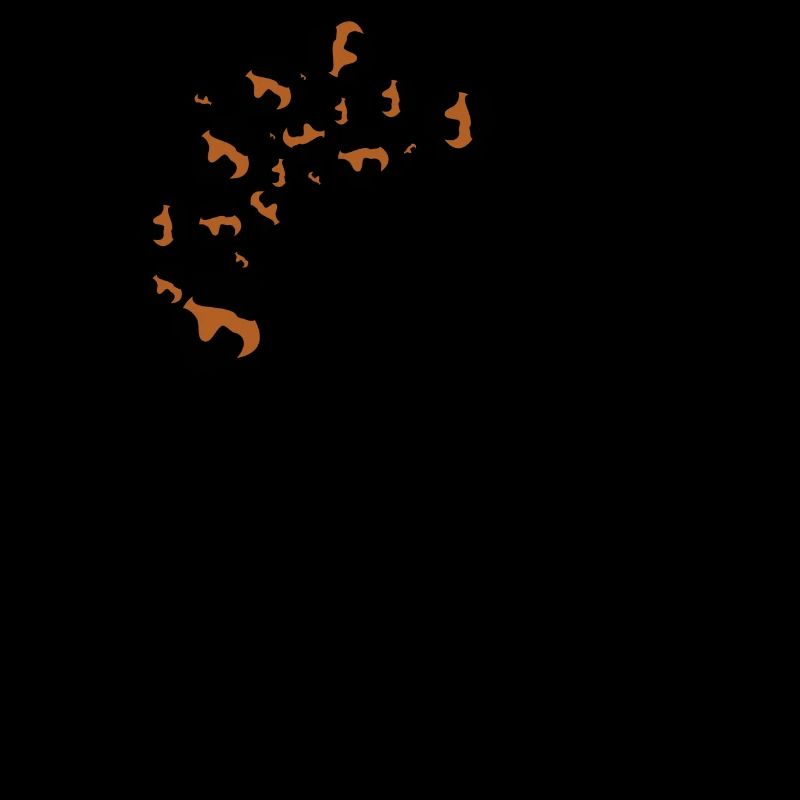 Letter and leopard patterns