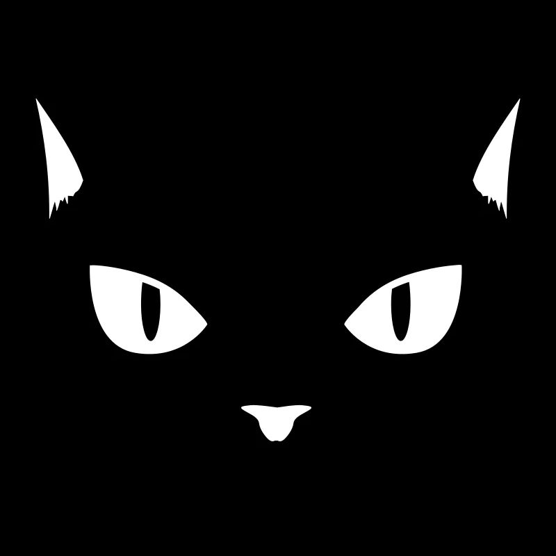 cat - kitty - katze - chat