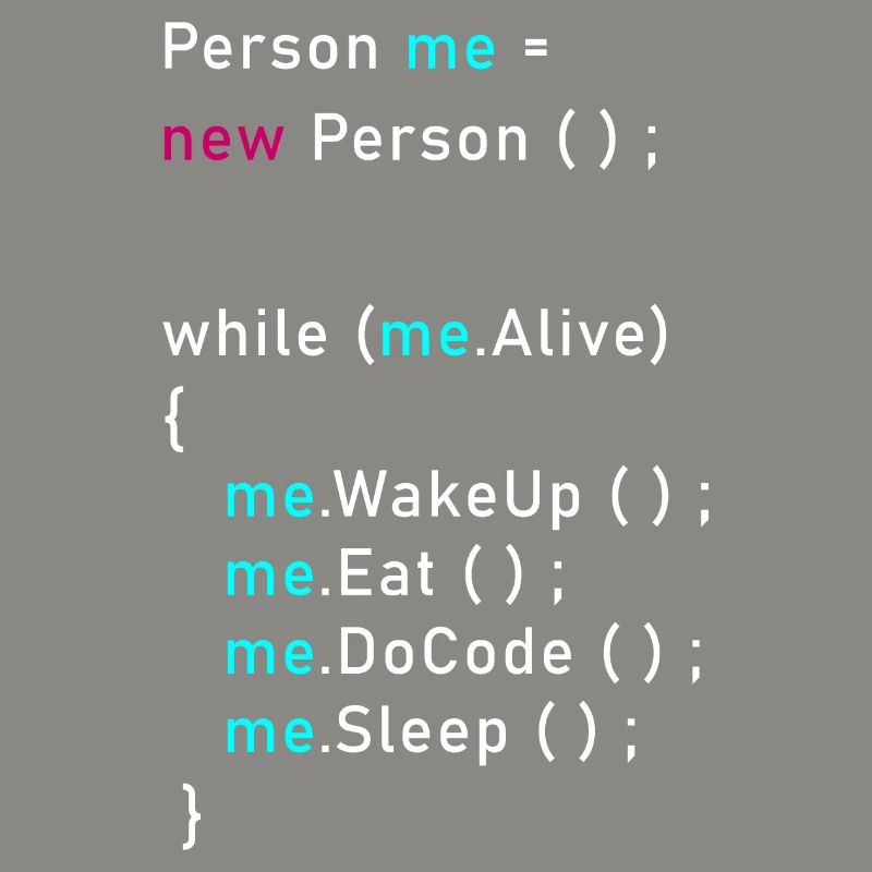 Person me = new Person (); Programmieren Code Java
