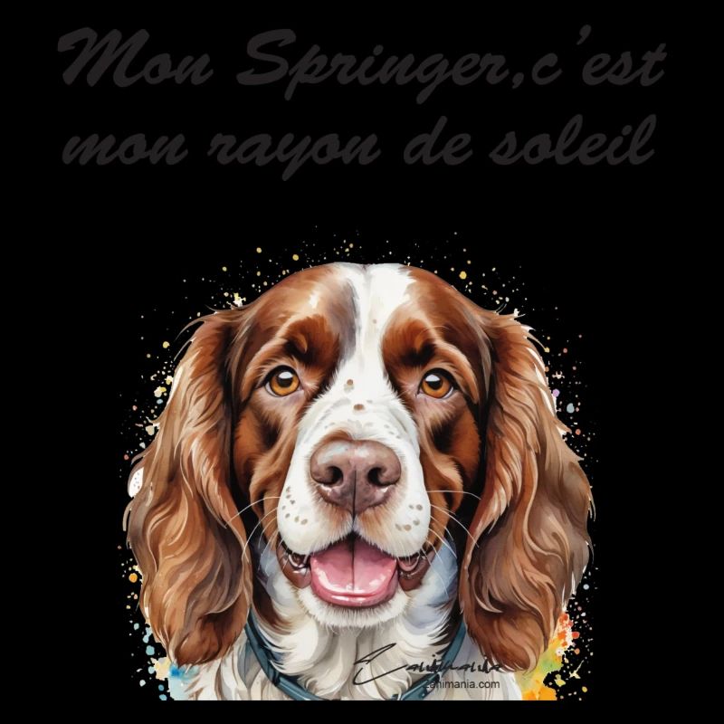 Springer rayon de soleil