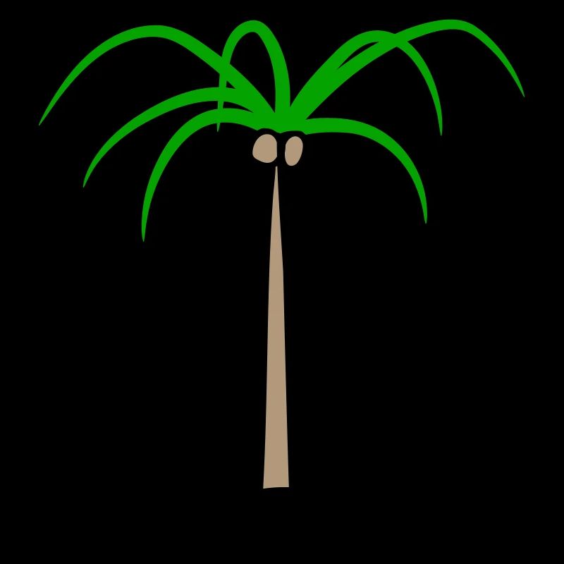 Palm Tree Island Tree Plage Vacances Noix de Mer Cool