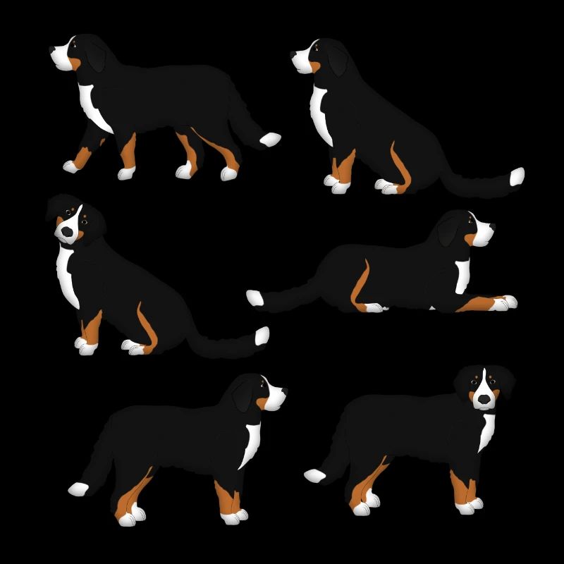 Sélection de Bouvier Bernois