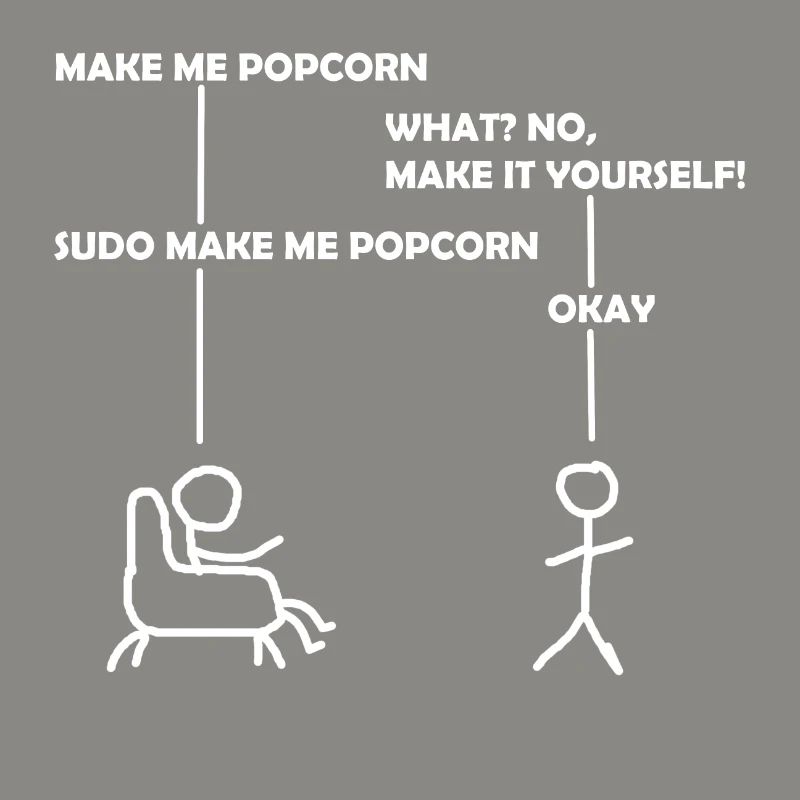 programmer sudo informatik