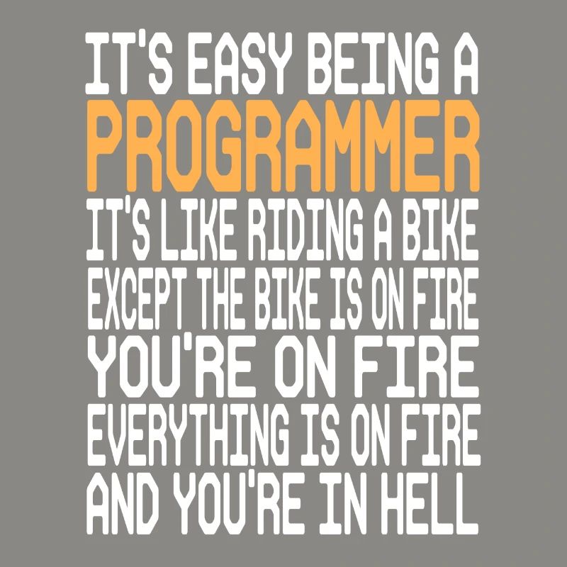 Programmer