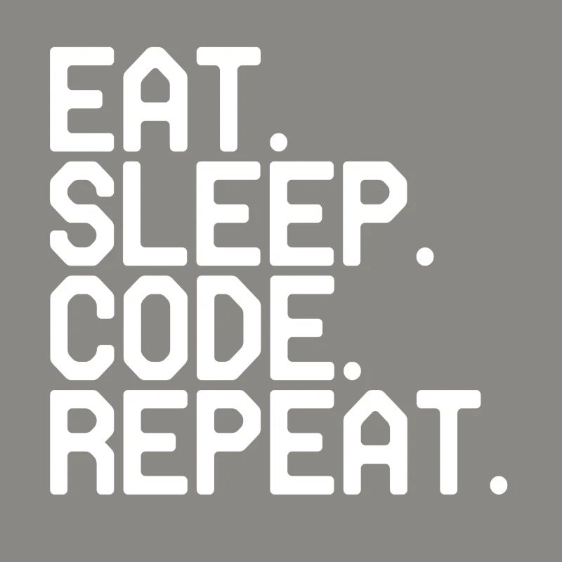Programmer