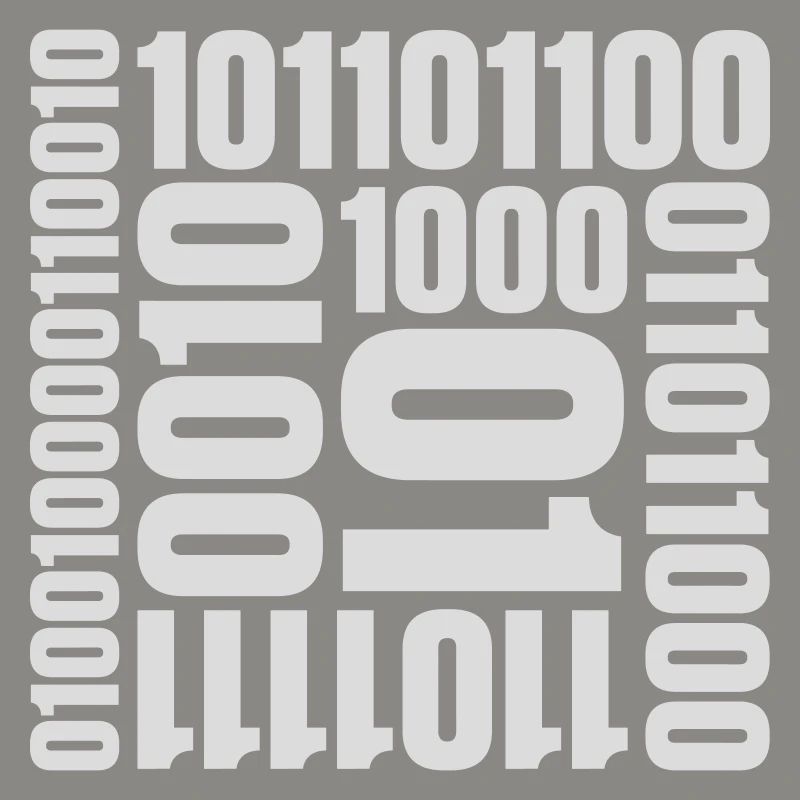 Langage de programme de code binaire