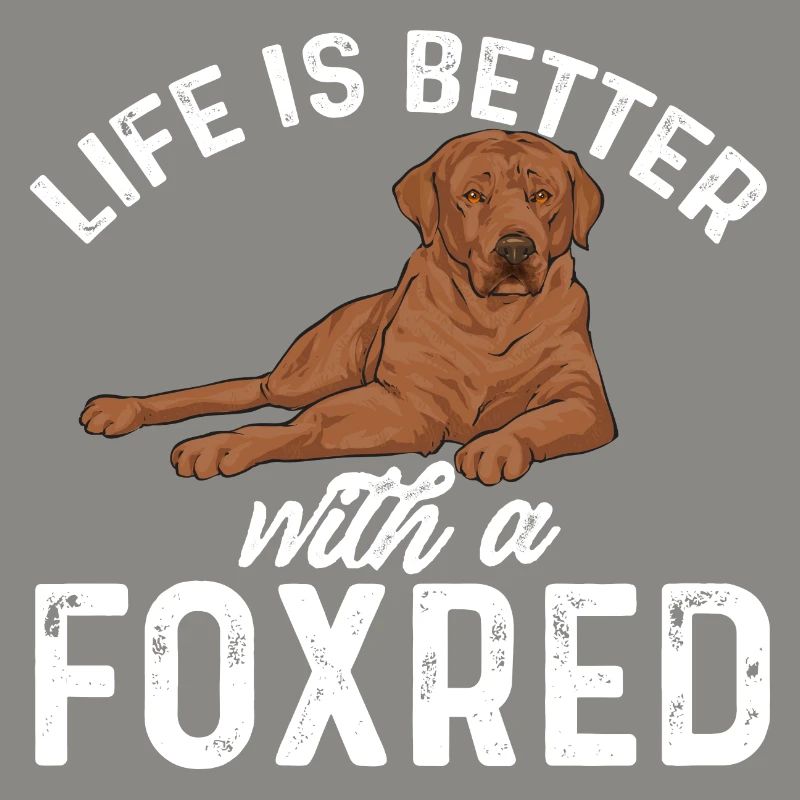 Foxred Labrador Fox Red Labrador Retriever