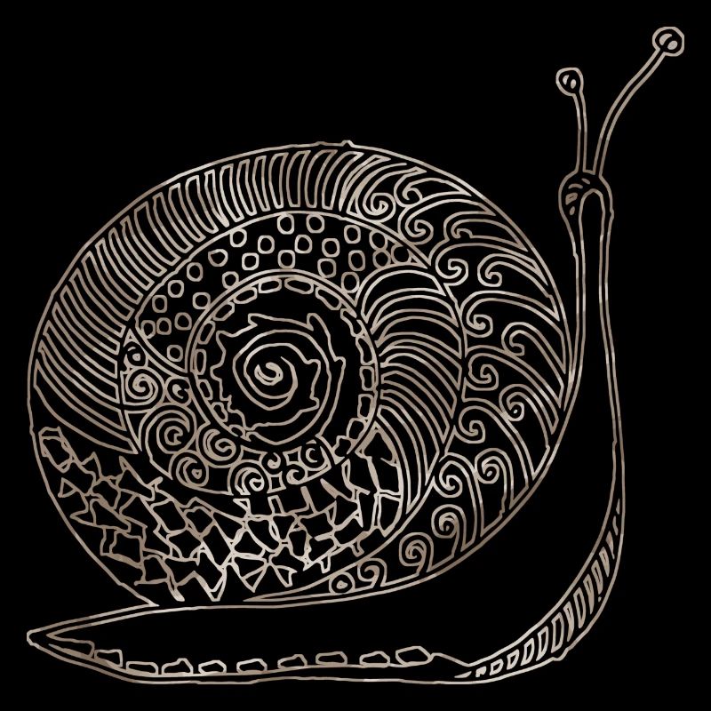Snail