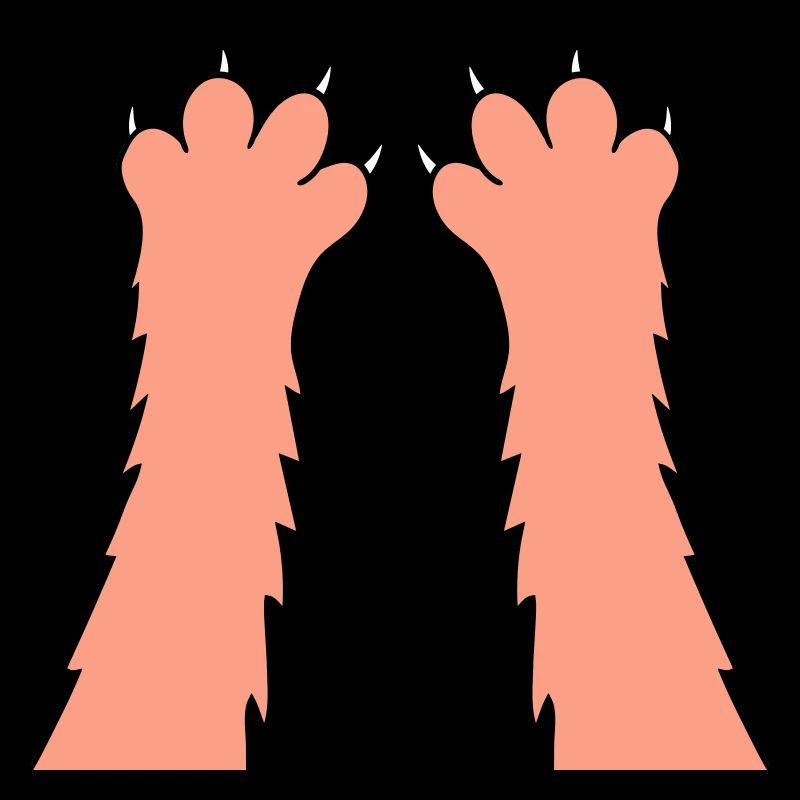 Cats, claws, paws, paws, sharp claws, scratching