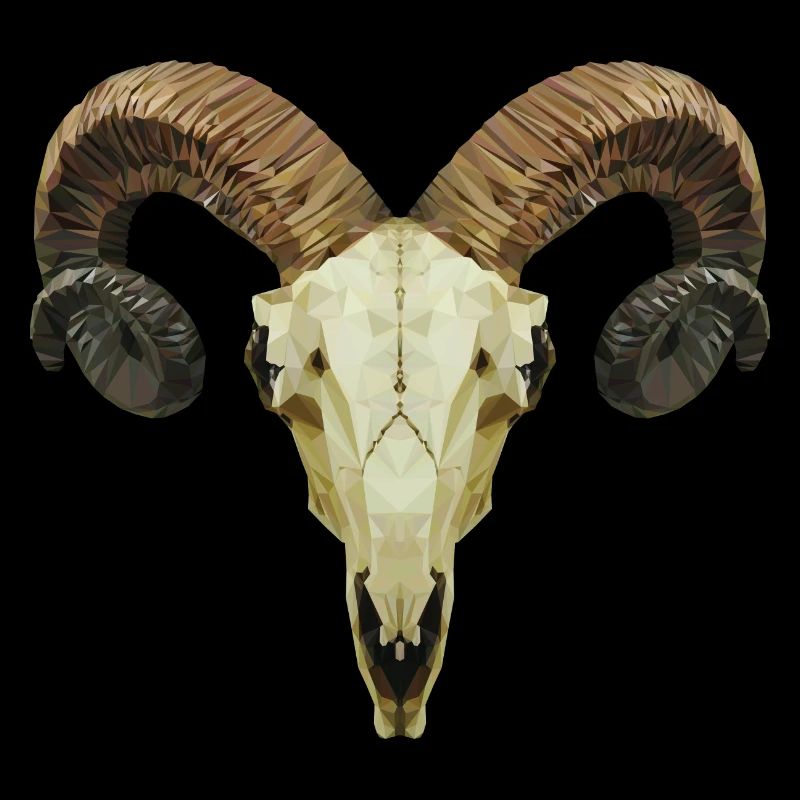 Ram's skull