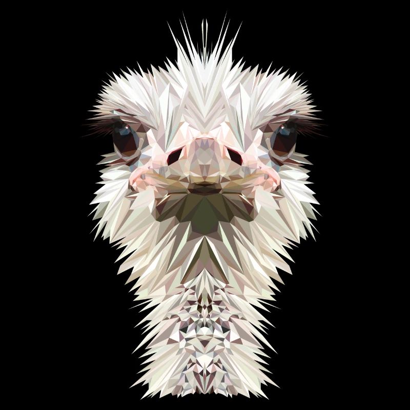 Ostrich