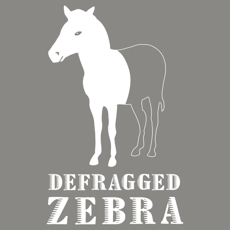 Defragged Zebra Informatiker Admin Geek Geschenk