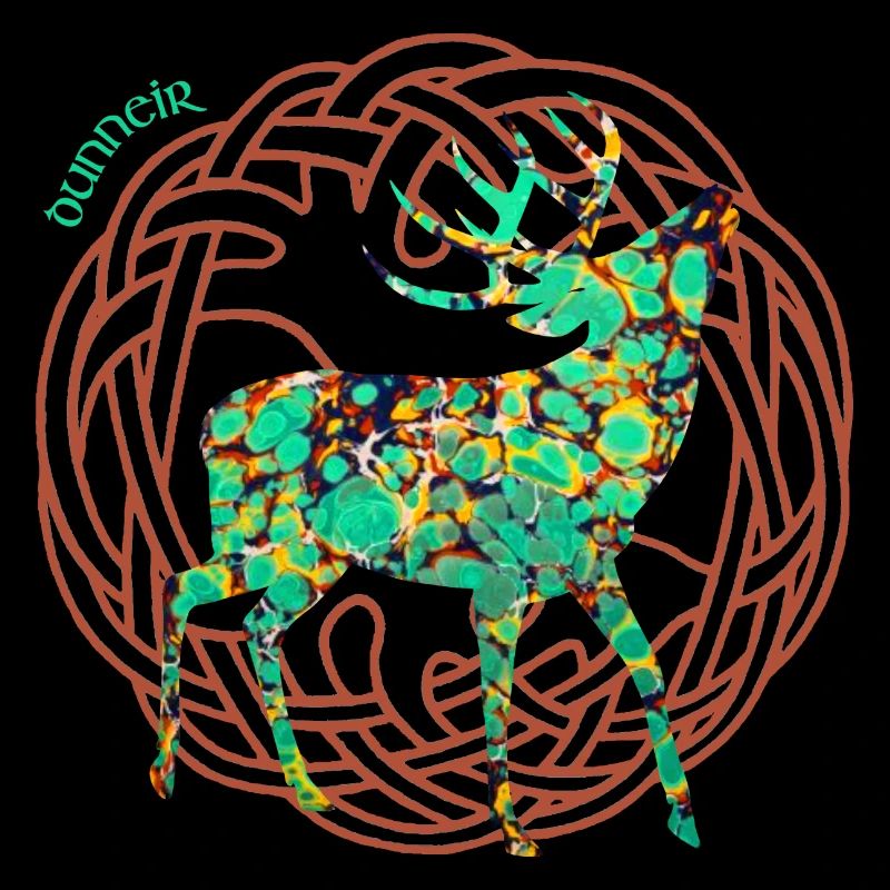 hirsch dunneir e 269