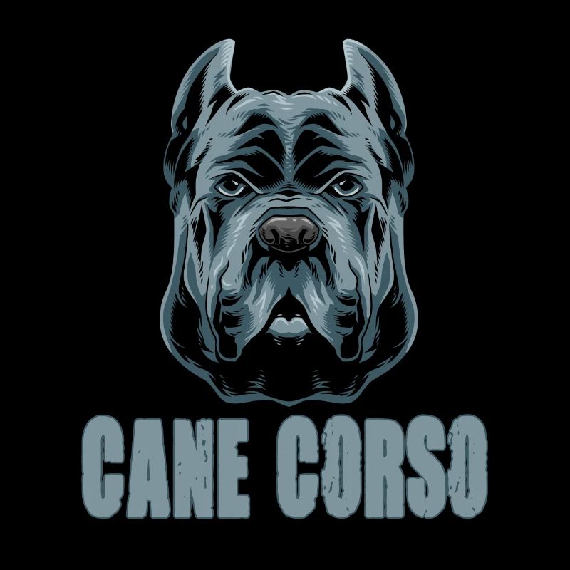 Cane Corso für einen Cane Corso Besitzer Cane