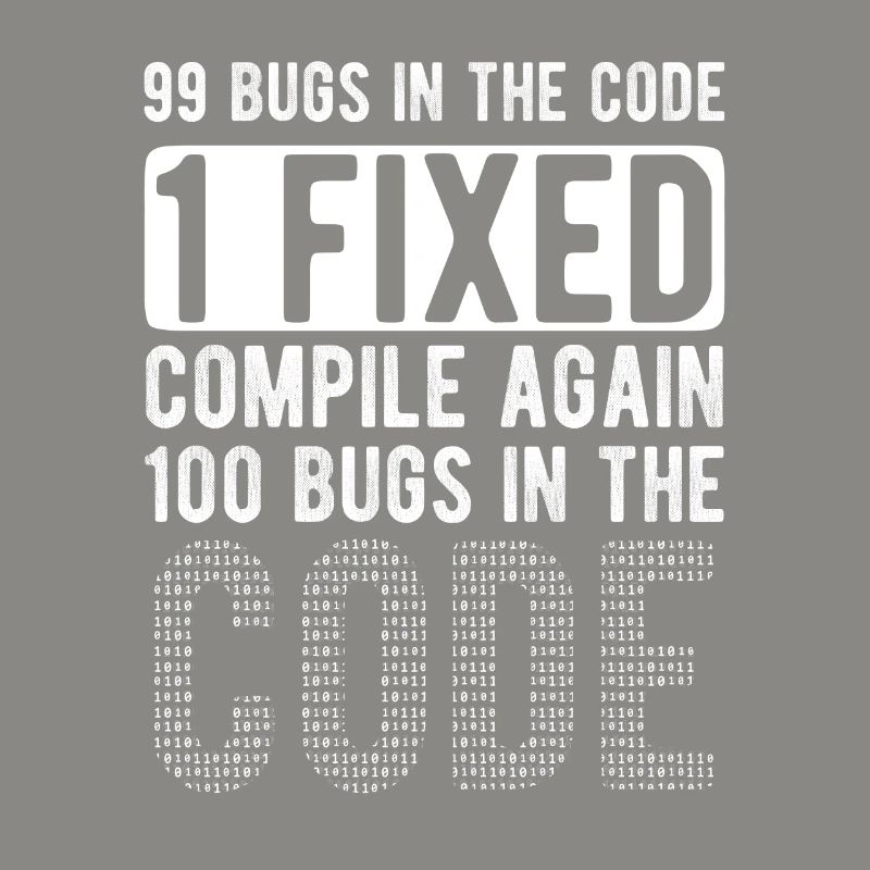 Software Ingenieur Informatiker Programmierer