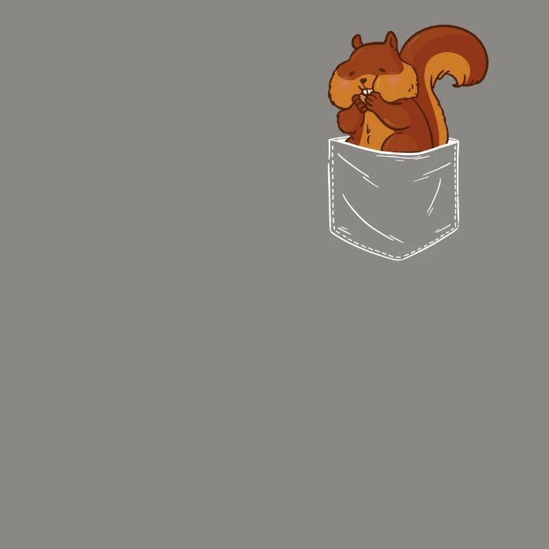 Eichhörnchen Baumhörnchen Squirrel