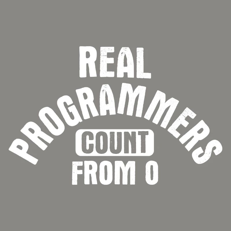 Software Ingenieur Informatiker Programmierer