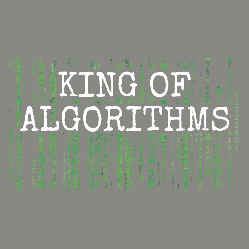 Software Ingenieur Informatiker Programmierer