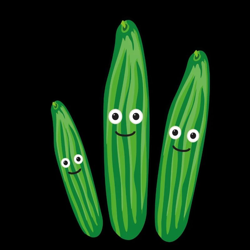 Famille du concombre,Concombre,Concombre,Concombre