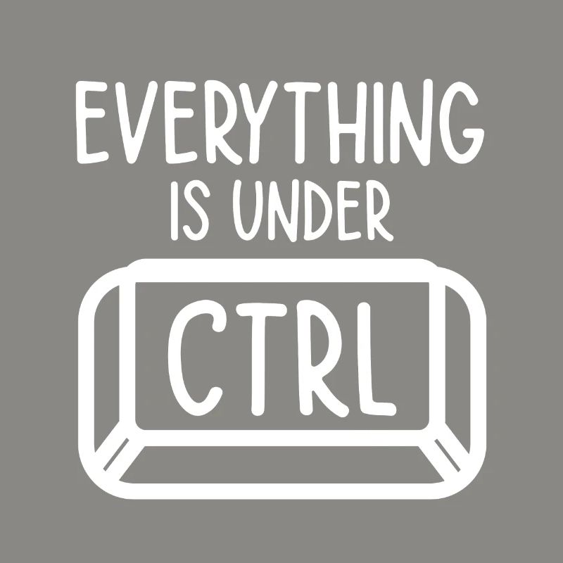 Everything Is Under Control Programmer Coder Softw