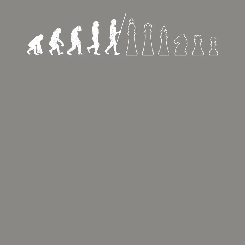 Chess player Funny evolution board game Schac