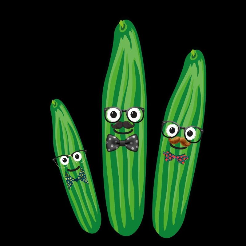 Famille du concombre,Concombre,Concombre,Mouche, Nerd
