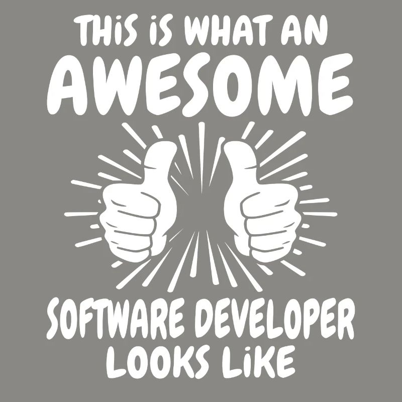 Software Developer