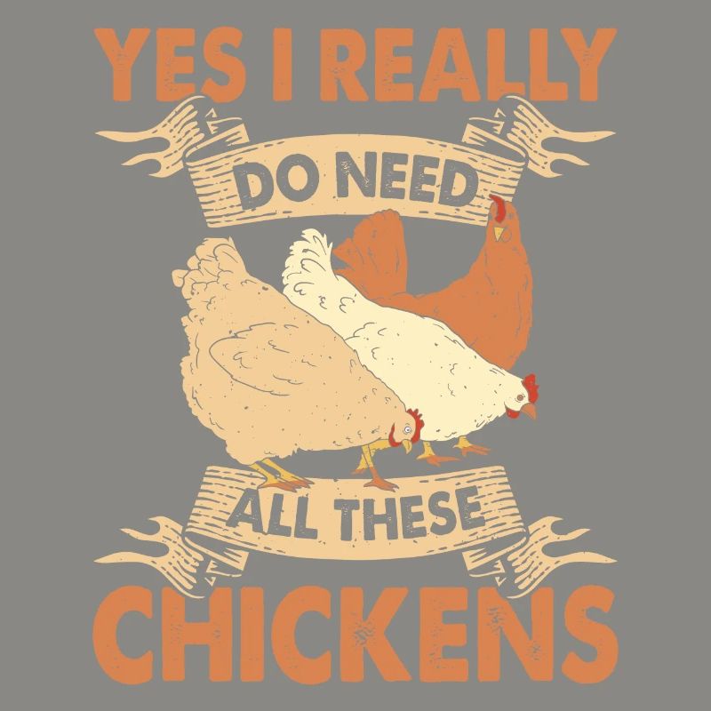 Poulets Élevage de poulets