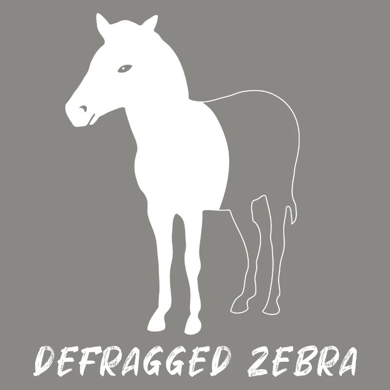 Defragged Zebra Admin Geek Programmer Gift