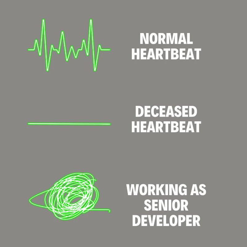 Senior Developer Professional Worker