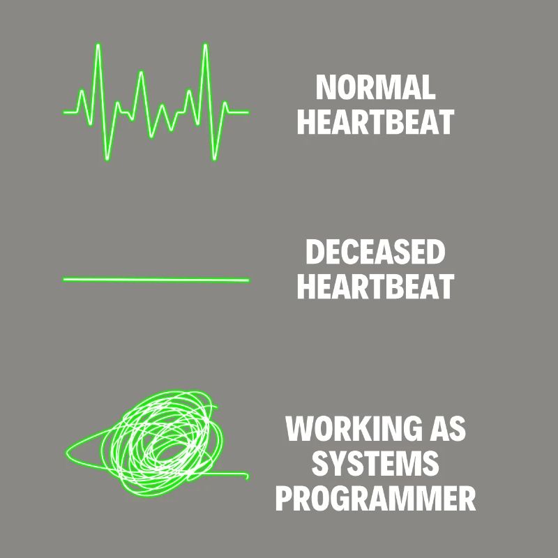 System Programmer Funny System Worker Programmers