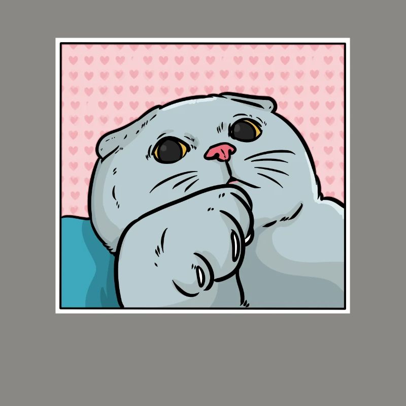 Foldex cat