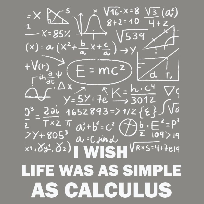 Funny Math Quote Math Teacher Math Sayings