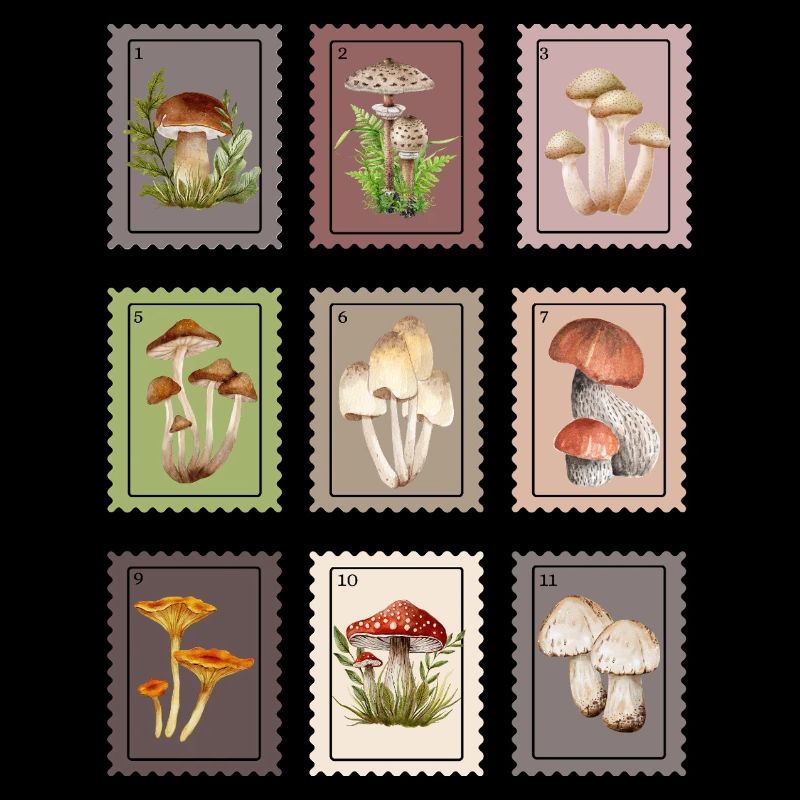 Conception des champignons