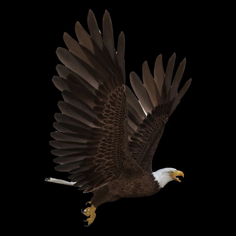 Aigle