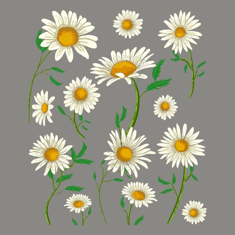 Gänseblümchen Hobbygärtner Geschenk Blumen Botanik