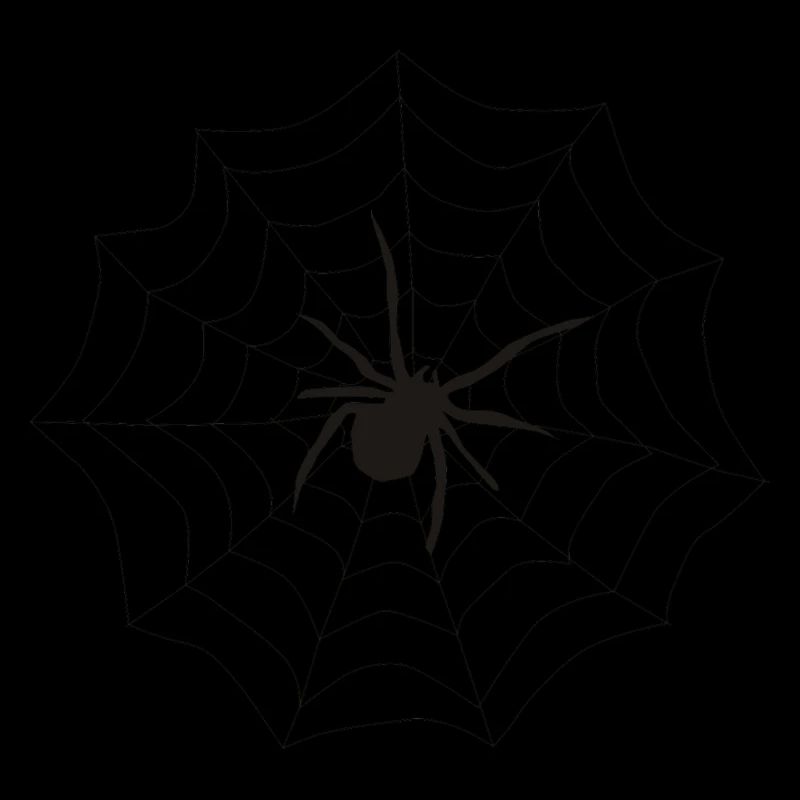 Spider web