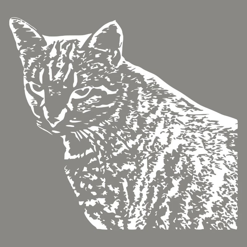 Chat Blanc Blanc Chats