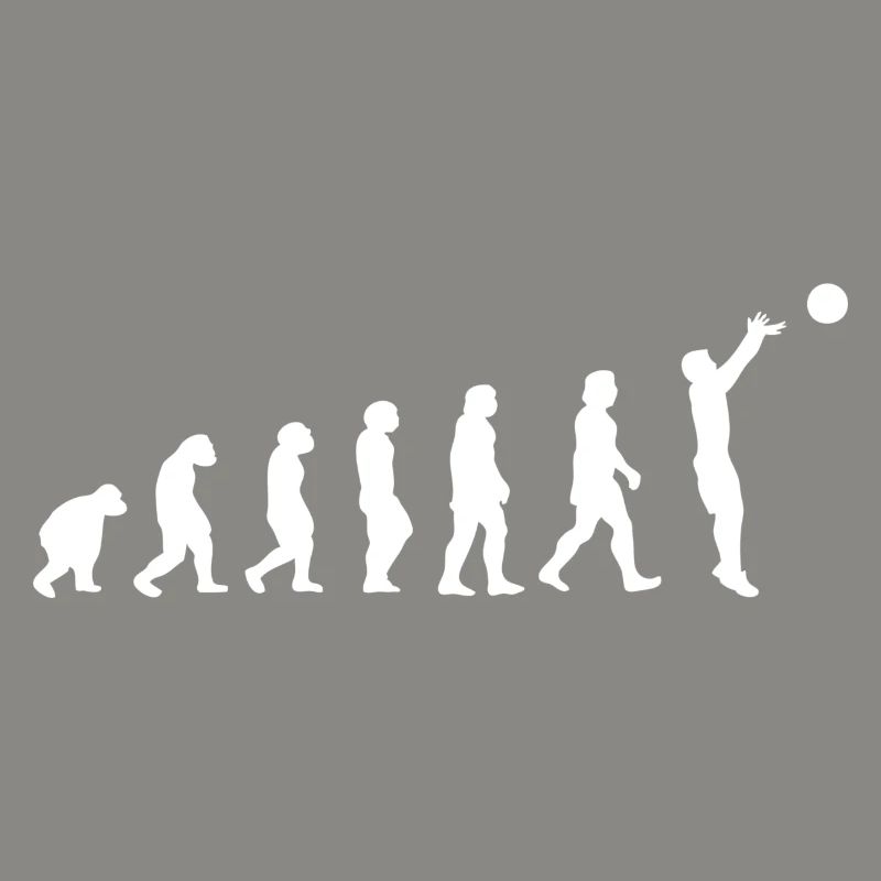 Basket évolution