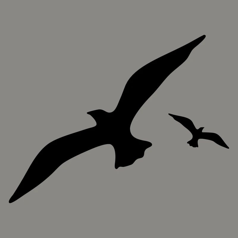 Möwe